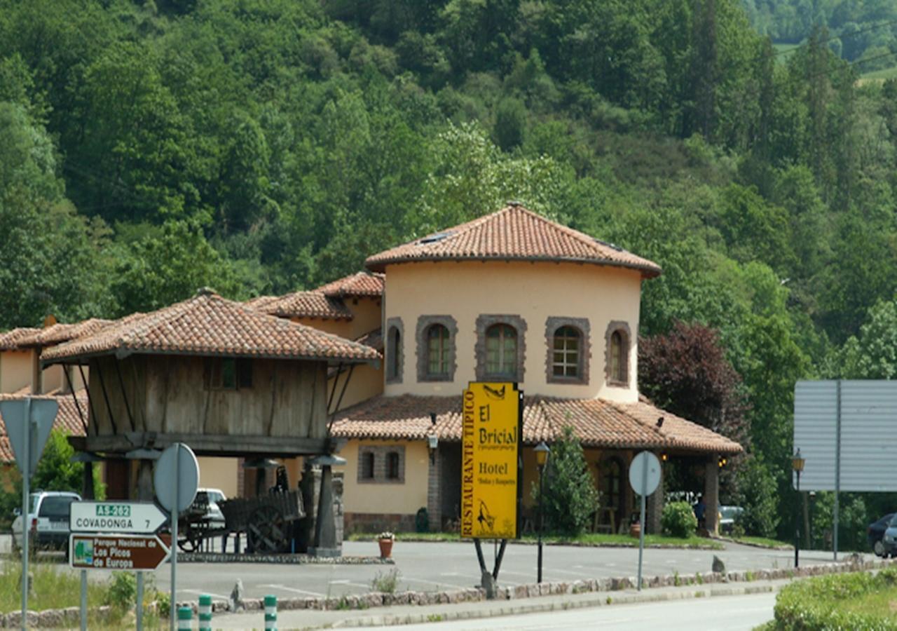 Hotel El Bricial Soto De Cangas Exteriér fotografie